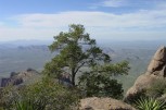 photo thumbnail #10