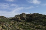 photo thumbnail #15