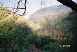 photo thumbnail #4