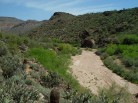 photo thumbnail #10