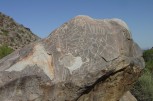 photo thumbnail #3