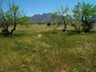 photo thumbnail #9