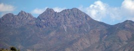 photo thumbnail #13