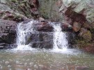 photo thumbnail #10