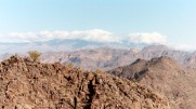photo thumbnail #3
