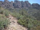 photo thumbnail #9