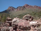 photo thumbnail #11
