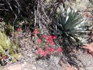 photo thumbnail #6