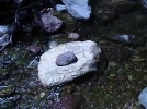 photo thumbnail #13