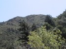 photo thumbnail #14