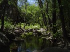 photo thumbnail #13