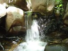 photo thumbnail #14