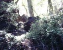 photo thumbnail #9