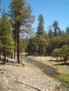 photo thumbnail #13