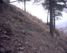 photo thumbnail #9