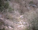 photo thumbnail #11