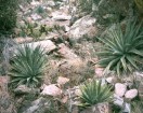 photo thumbnail #14