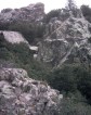 photo thumbnail #15