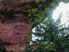 photo thumbnail #13