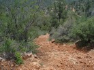 photo thumbnail #8