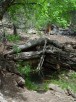 photo thumbnail #13