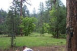 photo thumbnail #3