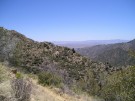 photo thumbnail #9