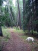 photo thumbnail #9