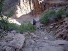 photo thumbnail #11