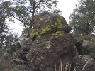 photo thumbnail #8