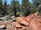 photo thumbnail #2