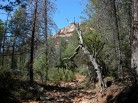 photo thumbnail #4