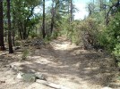 photo thumbnail #13