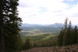 photo thumbnail #12
