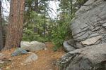 photo thumbnail #11