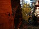 photo thumbnail #3