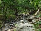 photo thumbnail #15