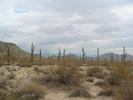 photo thumbnail #3