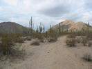 photo thumbnail #5