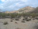 photo thumbnail #6