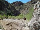 photo thumbnail #2