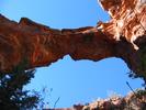 photo thumbnail #4