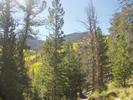 photo thumbnail #1