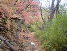 photo thumbnail #2