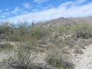photo thumbnail #10