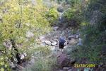 photo thumbnail #14