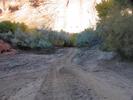 photo thumbnail #14