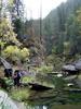photo thumbnail #10