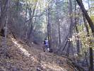 photo thumbnail #8