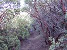photo thumbnail #14